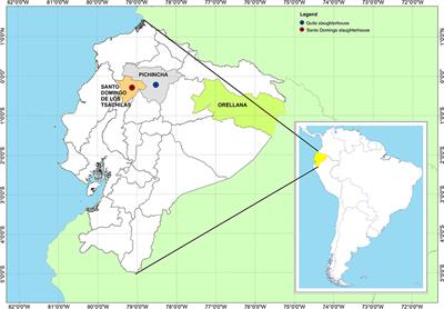 Molecular identification of Trypanosoma theileri (Laveran, 1902) in cattle from two slaughterhouses in Ecuador and its relation with other haemotropic agents